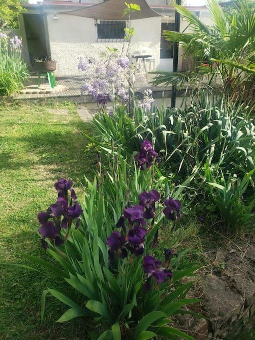 ברון Studio Buena Vista Avec Terrasse Sur Jardin מראה חיצוני תמונה